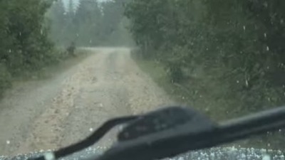 Zabelela se Crna Gora (VIDEO)