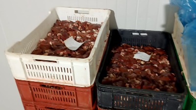 Otkriveno 40 tona mesa zaraženo samonelom u Kruševcu (FOTO)
