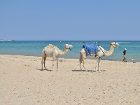 Tunis: Zaboravljena kapija afričkog Mediterana