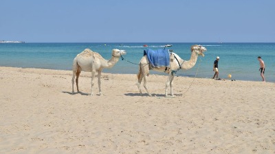 Tunis: Zaboravljena kapija afričkog Mediterana