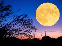 Stiže pun Mesec u Biku! 4 znaka su na UDARU 5. novembra 