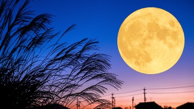 Stiže pun Mesec u Biku! 4 znaka su na UDARU 5. novembra  Stiže pun Mesec u Biku! 4 znaka su na UDARU 5. novembra