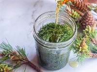 Šumska biljka čisti pluća kao metlom i jača imunitet: Napitak koji se PRAVI KOD KUĆE