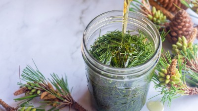 Šumska biljka čisti pluća kao metlom i jača imunitet: Napitak koji se PRAVI KOD KUĆE