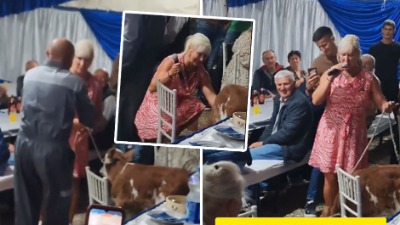 Nije imao bakšiš, pa pevačici poklonio TELE?! Hit scena pod srpskom šatrom (VIDEO)