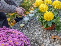 Danas su MITROVSKE ZADUŠNICE: Evo NIPOŠTO NE TREBA RADITI - veruje se da bi to uznemirilo duše pokojnika 