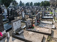 SUTRA SU MIHOLJSKE ZADUŠNICE: Ovo su običaji i verovanja koje obavezno treba ispoštovati 