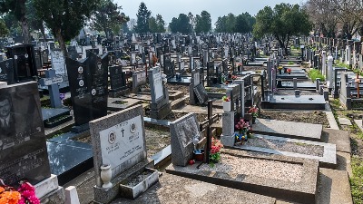 SUTRA SU MIHOLJSKE ZADUŠNICE: Ovo su običaji i verovanja koje obavezno treba ispoštovati 