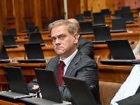 Stefanović o nacrtu rezolucije EP: Cela stvar ide u pravcu vrlo gorkog političkog kraja režima