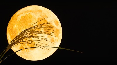 Sutra stiže poslednji PUN MESEC u 2025. godini, a njegovu moć će najviše osetiti OVA 4 ZNAKA 