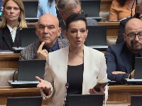Marinika Tepić: EP da pošalje u Srbiju nezavisnu ad hok misiju, da ispita sve nakon pada nadstrešnice