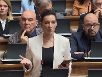 Tepić: Dogovor opozicije u vezi sa koordinacijom aktivnosti ka EU prirodan proces