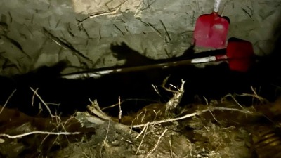 Iskopali grob kod Požarevca, uleteo SAJ: Policija sprečila teško ubistvo