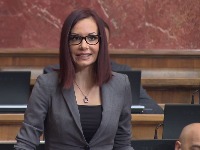 Spirić (SSP): Još jedan "strateški investitor" napušta Srbiju