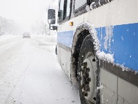 Autobus sleteo sa puta, drama u Novoj Pazovi