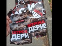 FRKA JE Naprednjaci oblepljuju Novi Sad uvredljivim porukama (VIDEO)