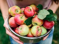 Sve vreme pogrešno jedemo jabuke: Nutricionisti otkrivaju da ih ovako treba jesti - nećete imati nikakve probleme