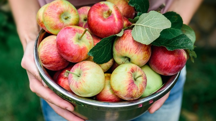 Sve vreme pogrešno jedemo jabuke: Nutricionisti otkrivaju da ih ovako treba jesti - nećete imati nikakve probleme