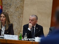 Ministarstvo: Vujić nije dobio PACKE u Briselu