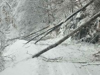 Vanredno u 11 opština u Srbiji, evakuisano 37 ljudi