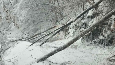 Vanredno u 11 opština u Srbiji, evakuisano 37 ljudi