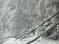 SNEG i RAZORNA košava: Detaljna prognoza RHMZ za praznike