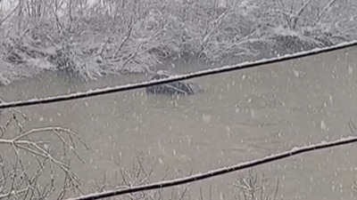 Vozilo skliznulo u Lim kod Priboja: Dva putnika uspela da se izvuku (VIDEO)