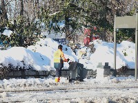 Kolaps polarnog vrtloga: Februar donosi sneg i jake minuse