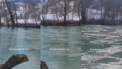 "Zar nema niko da je spasi": Borba za život u ledenoj vodi (VIDEO)