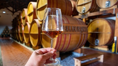 "Vino Župa" zvanično otišlo u stečaj: BEZ POSLA 230 RADNIKA