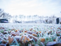 ŠOKANTNA prognoza RHMZ: Mraz će okovati Srbiju, sneg za Vaskrs