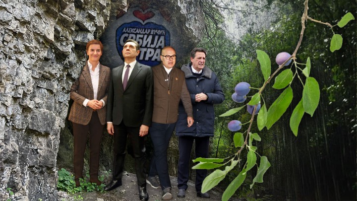 HOĆEMO LI SVI STATI POD JEDAN KAMEN (ŠLJIVU) Idu li ispod Brnabić, Gašić, Vučević i ostali?
