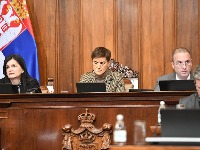 Brnabić: Nisu svi iz delegacije EP pokazali nepoštovanje prema Srbiji, neki su se izvinjavali