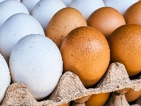 Koja je razlika između belih i smeđih jaja? Stručnjaci konačno dali odgovor 