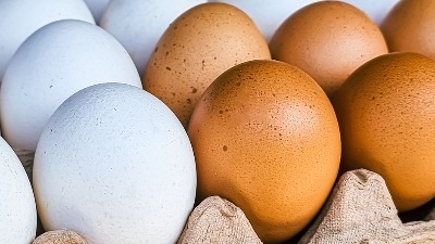 Koja je razlika između belih i smeđih jaja? Stručnjaci konačno dali odgovor 