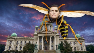 OVO NIJE ZA SMEH Ana Brnabić - opasna pčelica SNS