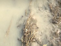 EKOLOŠKA KATASTROFA Izlila se jalovina iz rudnika, Jablanicu pretvorila u "olovnu reku"