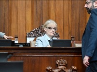 Raguš (SNS): Imala sam prilike da vidim nesrećnu delegaciju EP potpuno dezorijentisanu