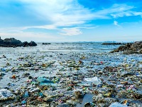 Jogurt star 40 godina i dalje tu: Veliki problem sadašnjosti (FOTO)