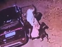 Bez ljudskosti: Bacila kuče kao da je smeće (VIDEO)