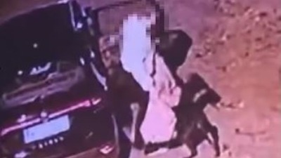 Bez ljudskosti: Bacila kuče kao da je smeće (VIDEO)