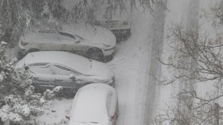 CLS: Beograd paralisan, sneg i dalje nepremostiva prepreka za gradsku vlast