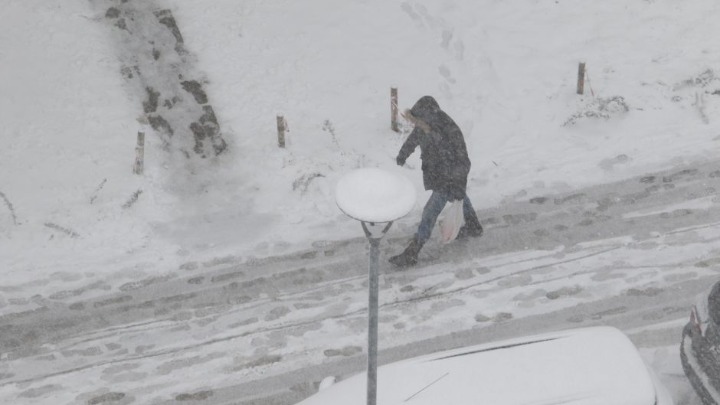 Ceo Beograd stoji zbog snega, a direktorka "Beograd puta“ na Informeru daje izjavu zbog koje je mnogima neprijatno (VIDEO)