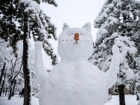 DA LI ĆE I DALJE VEROVATI VLASTIMA Bez struje 13.603 domaćinstva