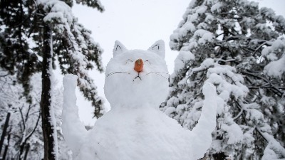 DA LI ĆE I DALJE VEROVATI VLASTIMA Bez struje 13.603 domaćinstva
