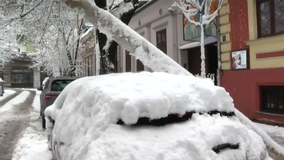 Bandera se obrušila na automobil u centru Beograda (FOTO)