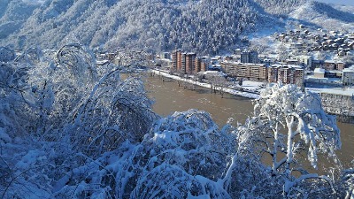 Direktor Elektrodistribucije Loznica: Nemojte sutra da dobijamo tužbe zbog seče stabala