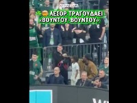 Lesor pravio šou u Atini - "nastradao" radnik obezbeđenja (VIDEO)