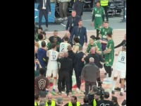 Lesor napravio HAOS: Uleteo na teren i nasrnuo na junaka pobede Fenera (VIDEO)