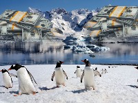Koliko košta put na Antartik: Neće vam biti dobro kad čujete cenu